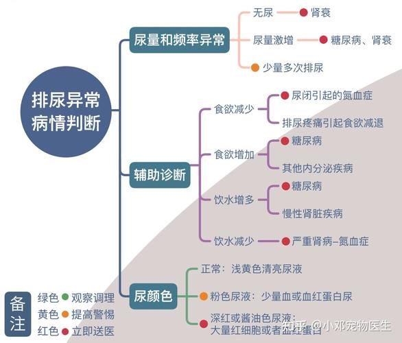 宠物医院问诊(问诊流程你了解吗)