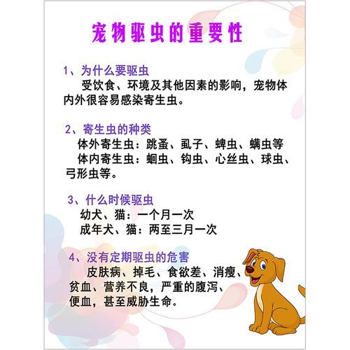 宠物医院驱虫价格(还是去宠物店好)