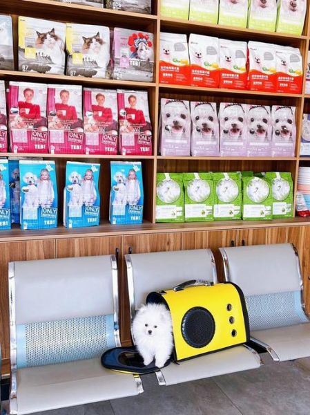 宠物医院驱虫价格(还是去宠物店好)