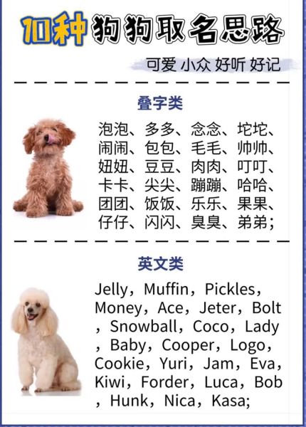 宠物名字(你喜欢霸气的还是可爱的)