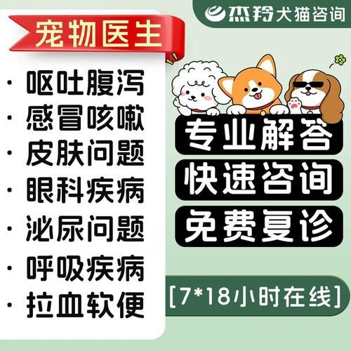 宠物咨询(在线咨询宠物医生靠谱吗)