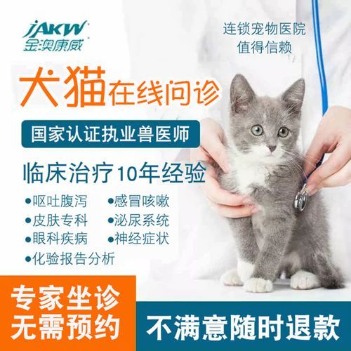 宠物咨询(在线咨询宠物医生靠谱吗)