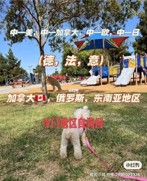 宠物回国( 到底需要哪些专业机构帮忙)