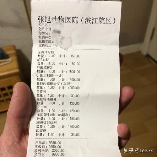 宠物培训(值不值得花这笔钱)
