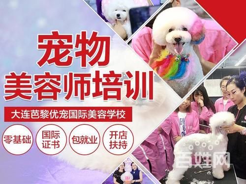 宠物培训中心(哪家宠物培训中心提供最全面的服务)