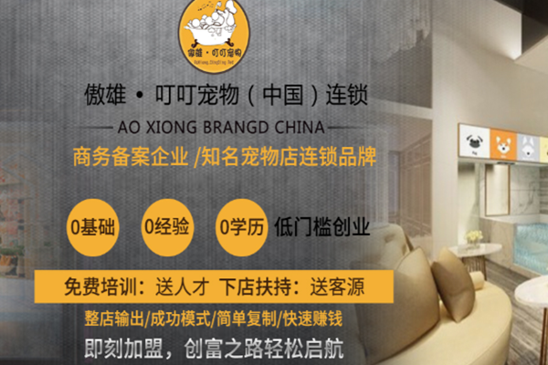 宠物培训加盟(需要哪些条件)