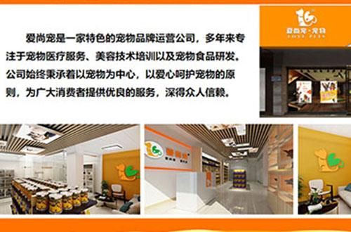 宠物培训加盟(需要哪些条件)