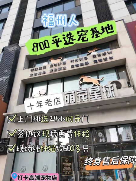 宠物培训机构排名(这些机构值得关注)