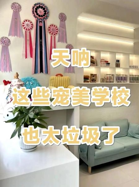 宠物培训美容(到底该去哪家学校)