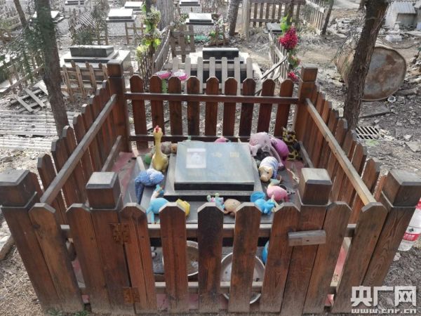 宠物墓地(还是消费陷阱)