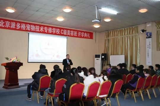 宠物学校培训要多少钱(跟城市有关吗)