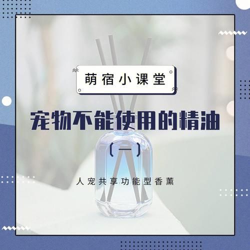 宠物小知识(它们梦到什么呢)
