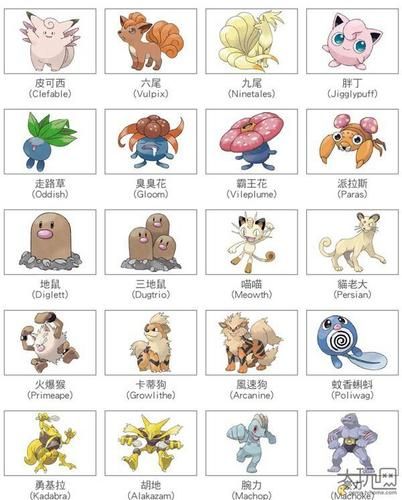 宠物小精灵名字(你最喜欢哪个)