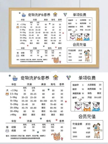 宠物店价格(到底什么价格才算合理)