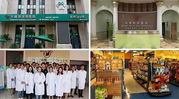 宠物店加盟排行(哪个品牌更适合你)