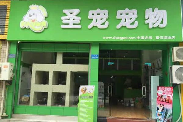 宠物店加盟要多少钱(怎么才能省钱)