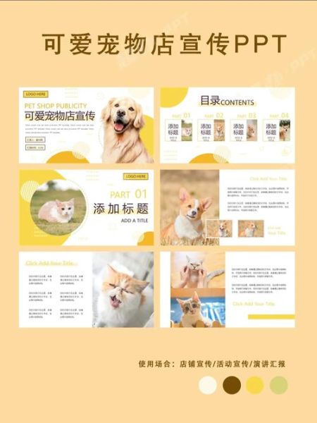 宠物店宠物(你需要了解哪些)