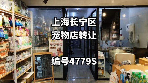 宠物店要多少钱( 租个店面一个月得花多少)