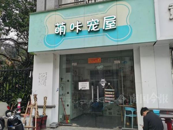 宠物店赚钱吗( 为什么那么多店都关门了)