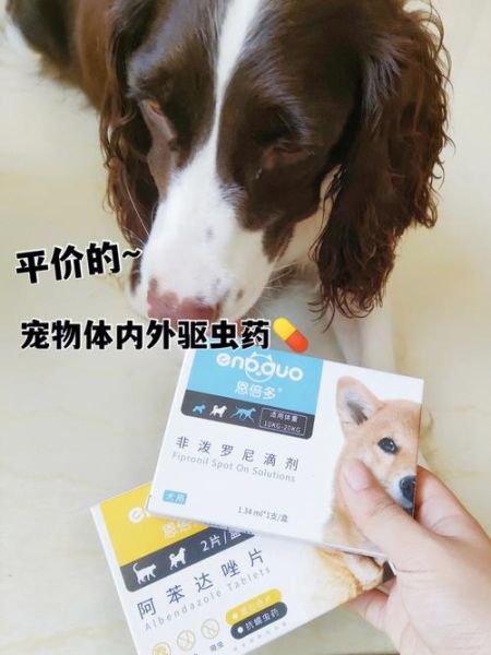 宠物店驱虫价格( 大型犬驱虫更贵吗)