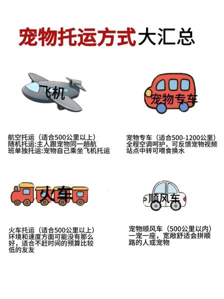 宠物怎么托运(怎么才能让它安心)