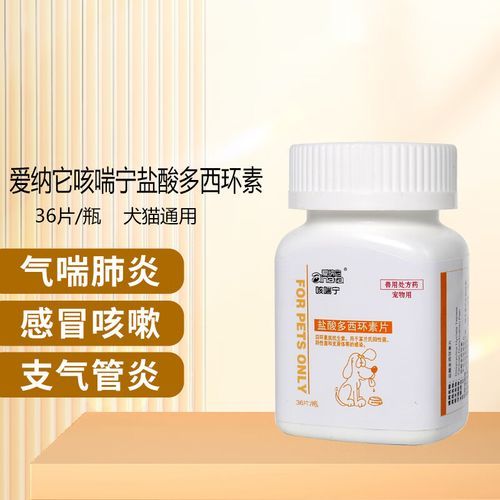 宠物感冒(该怎么给它治)