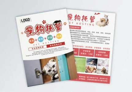 宠物托管(是选择家庭式还是专业机构)