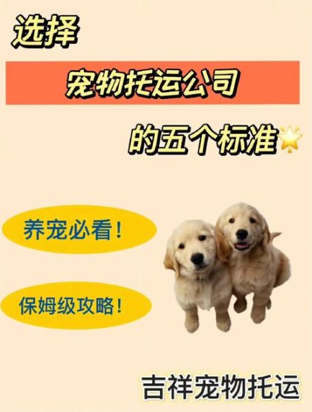 宠物托运公司(怎样才能放心)