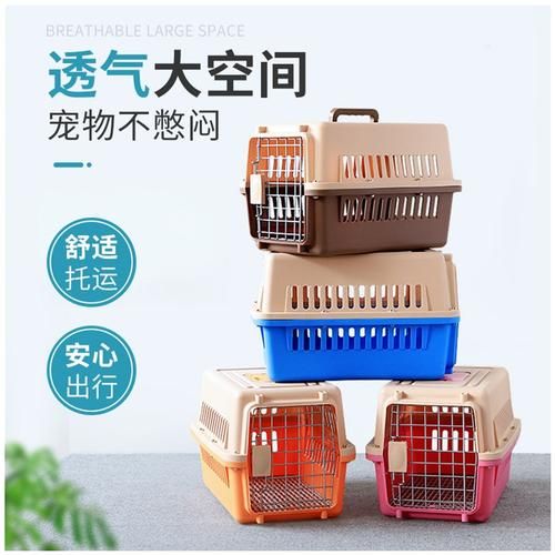 宠物托运手续( 什么尺寸的航空箱适合我的宠物)