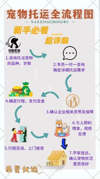 宠物托运流程( 到底哪种方式更适合)