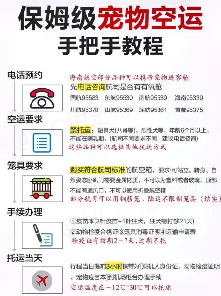 宠物托运流程( 到底哪种方式更适合)