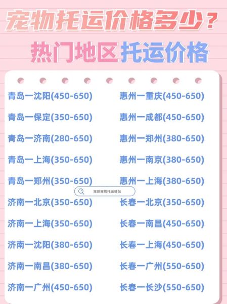 宠物托运费用(托运费用你真的了解吗)