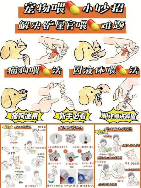 宠物护理(有什么小技巧吗)