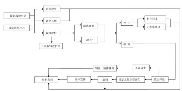 宠物救助(如何构建完善的救助体系)