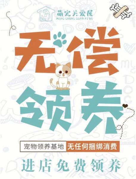 宠物救助(如何构建完善的救助体系)
