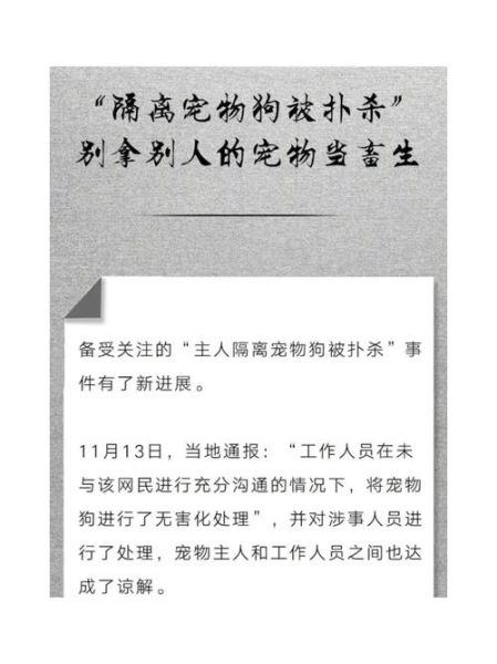 宠物新闻( 宠物被踢该怎么办)