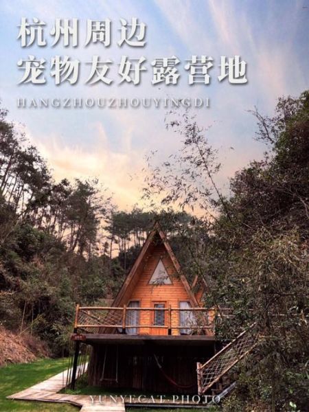 宠物旅行(是选择适合宠物玩耍的路线还是风景优美的路线)