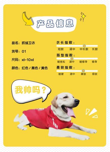宠物服装品牌(怎么才能选到又好看又实用的品牌)