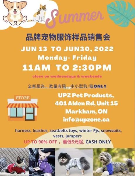 宠物服装品牌(怎么才能选到又好看又实用的品牌)