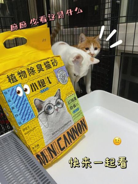 宠物派(宠物派杂志帮你解决各种养宠烦恼)