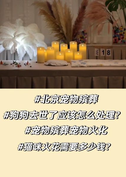 宠物火化( 它还能承载怎样的情感意义)