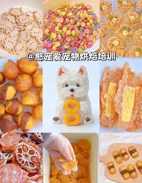 宠物烘焙(你真的了解它吗)