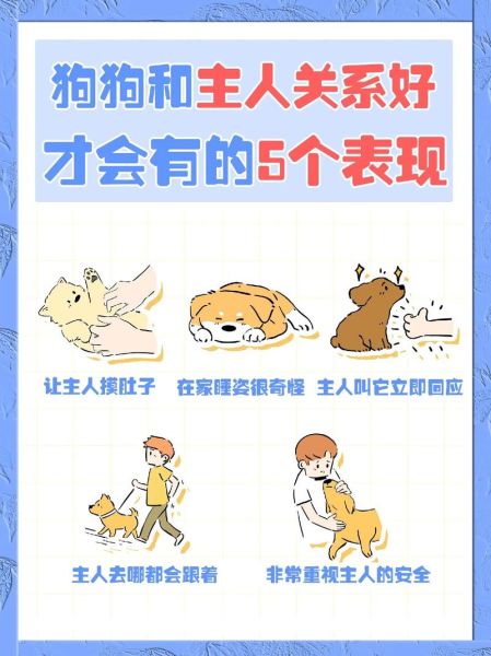 宠物狗( 你能满足它的需求吗)