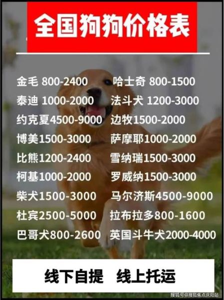 宠物狗价格排名(价格和人气有关系吗)