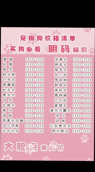 宠物狗价格排名(价格和人气有关系吗)