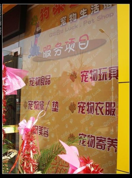 宠物狗加盟店(真的能赚到钱吗)