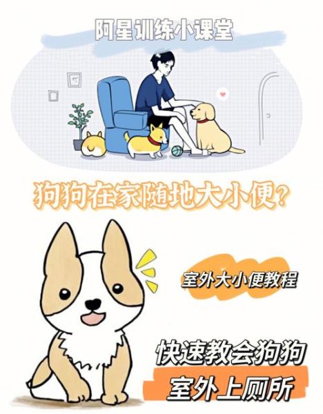 宠物狗怎样训大小便(怎么训练狗狗去固定的地方大小便)