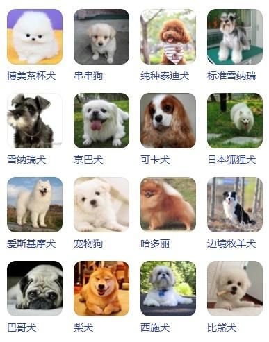 宠物狗排名(它们在宠物狗排名中分别排第几)