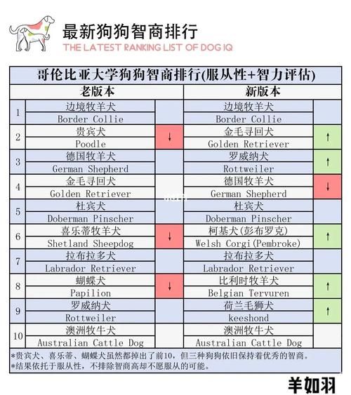 宠物狗智商排名(它们能理解你的意思吗)