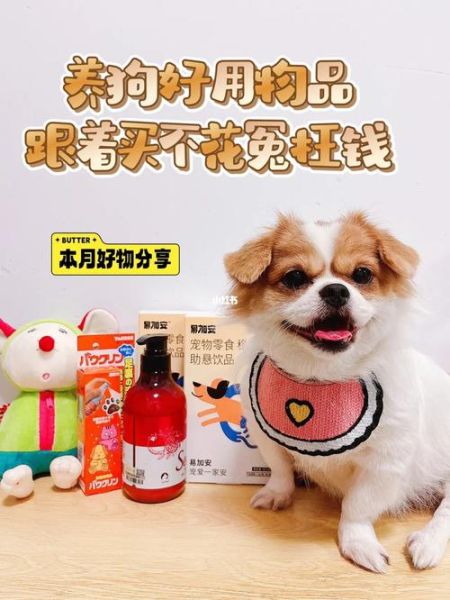 宠物狗的价格(别花冤枉钱吧)